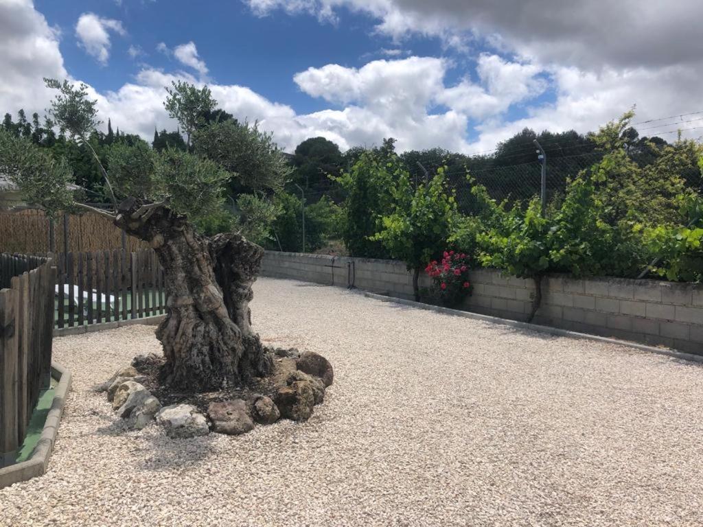 Casa De Campo Patricia Приего-де-Кордова Экстерьер фото